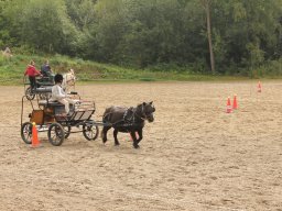 img_9505_web
